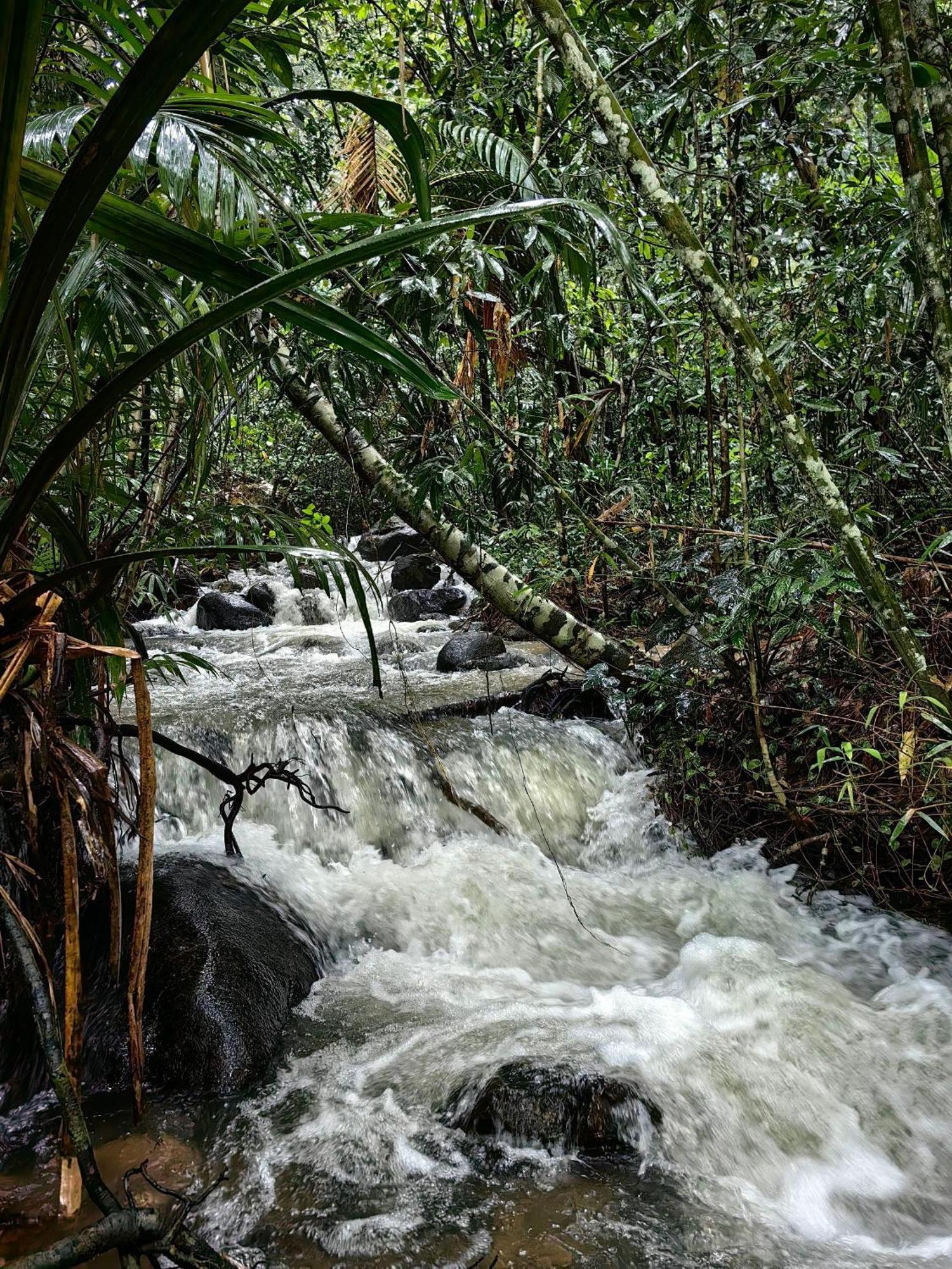 לינה וארוחת בוקר Khao Sok National Park Khaosok Happy House מראה חיצוני תמונה