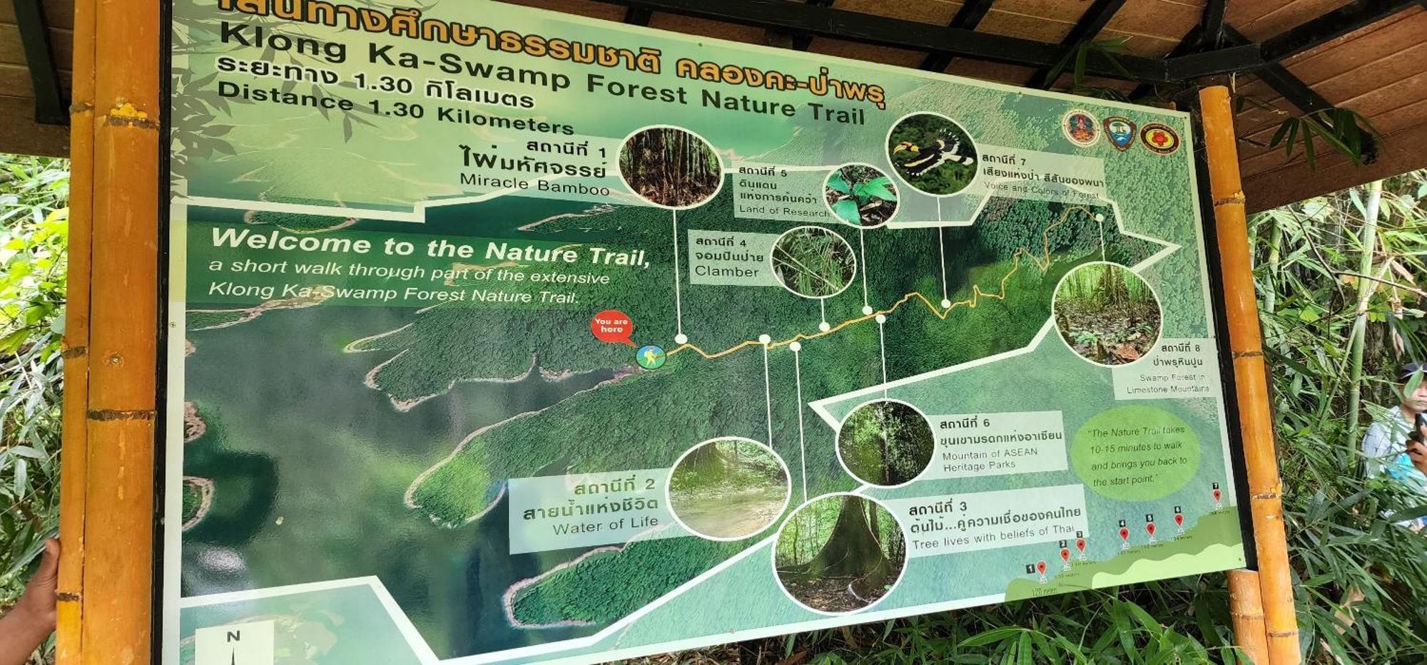 לינה וארוחת בוקר Khao Sok National Park Khaosok Happy House מראה חיצוני תמונה