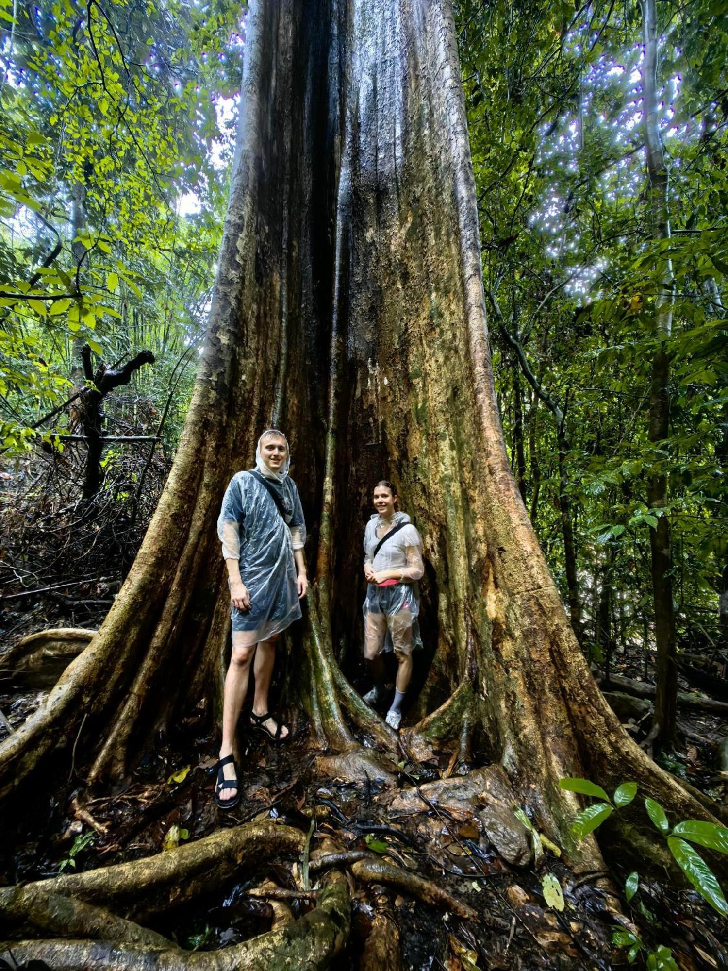 לינה וארוחת בוקר Khao Sok National Park Khaosok Happy House מראה חיצוני תמונה