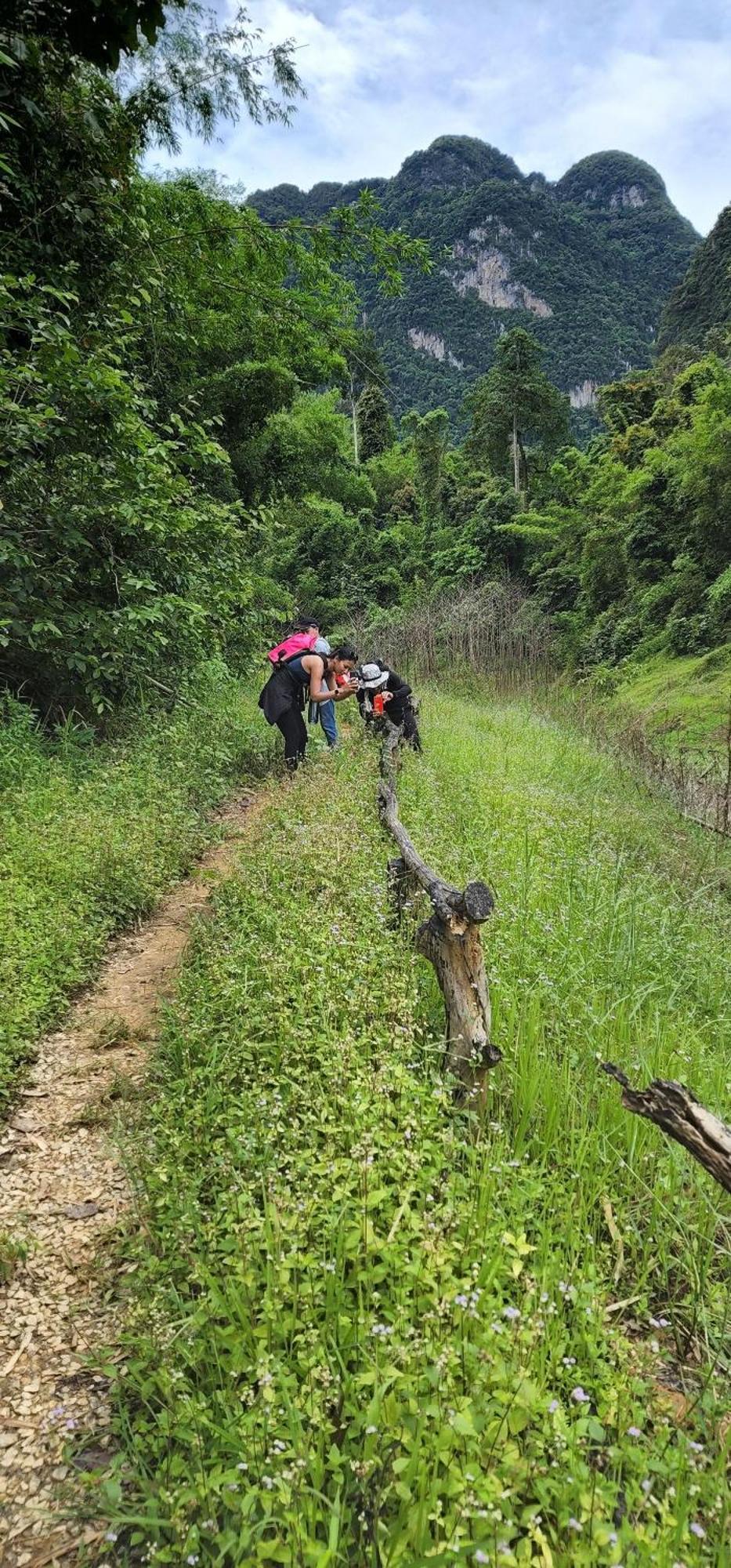 לינה וארוחת בוקר Khao Sok National Park Khaosok Happy House מראה חיצוני תמונה
